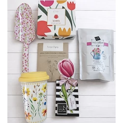 Tulipán - virágnevelgetős ajándék