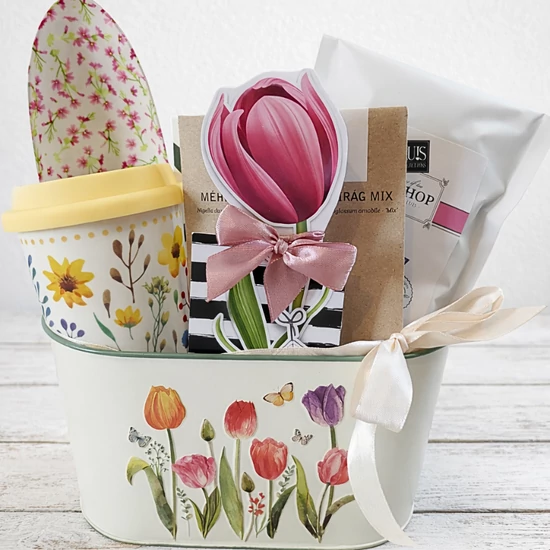 Tulipán - virágnevelgetős ajándék